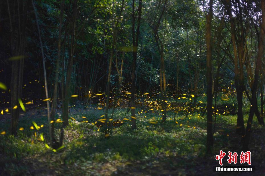 饥荒联机版水果杂烩是什么